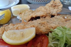 Viajero