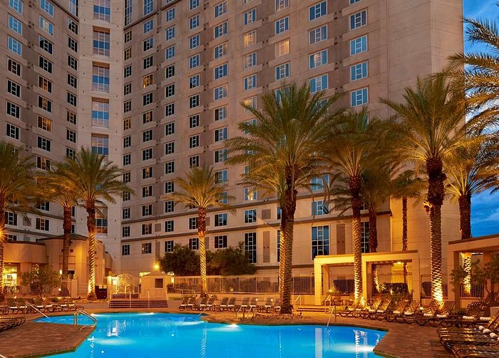 Paris Pool Area - Picture of Paris Las Vegas Hotel & Casino, Paradise -  Tripadvisor