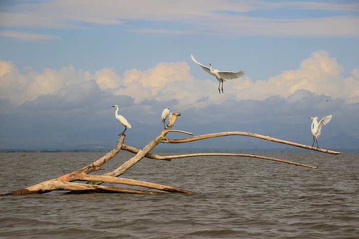 Lake Tempe, the Beauty of Wajo in South Sulawesi — Steemit