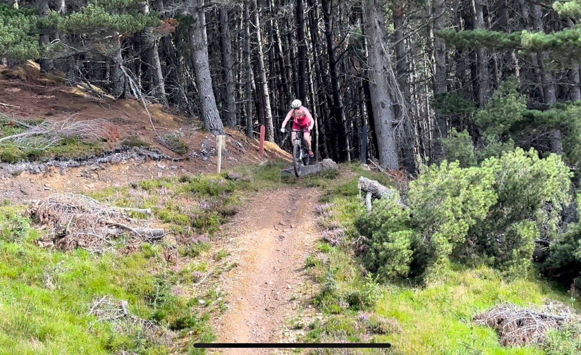 Glenlivet Mountain Bike Trails All You Need to Know BEFORE You Go 2024