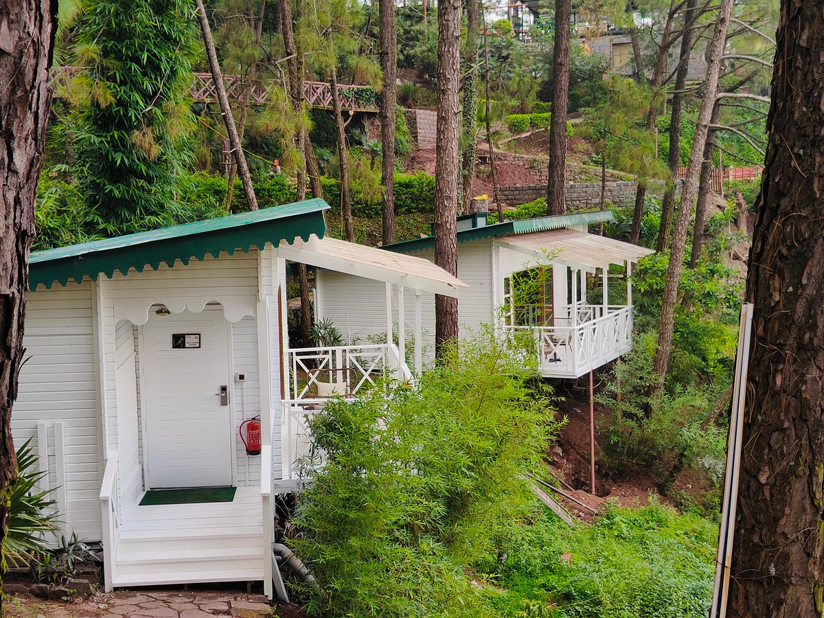 KASAULI HILLS RESORT - отзывы, фото и сравнение цен - Tripadvisor