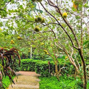 Hue Ecolodge in Hue