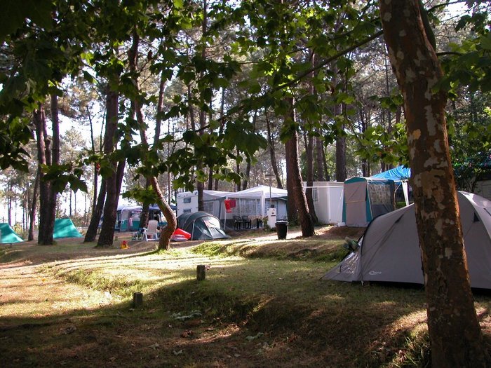 Imagen 7 de Camping Cachadelos