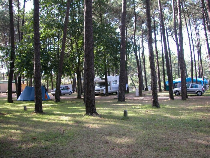 Imagen 3 de Camping Cachadelos