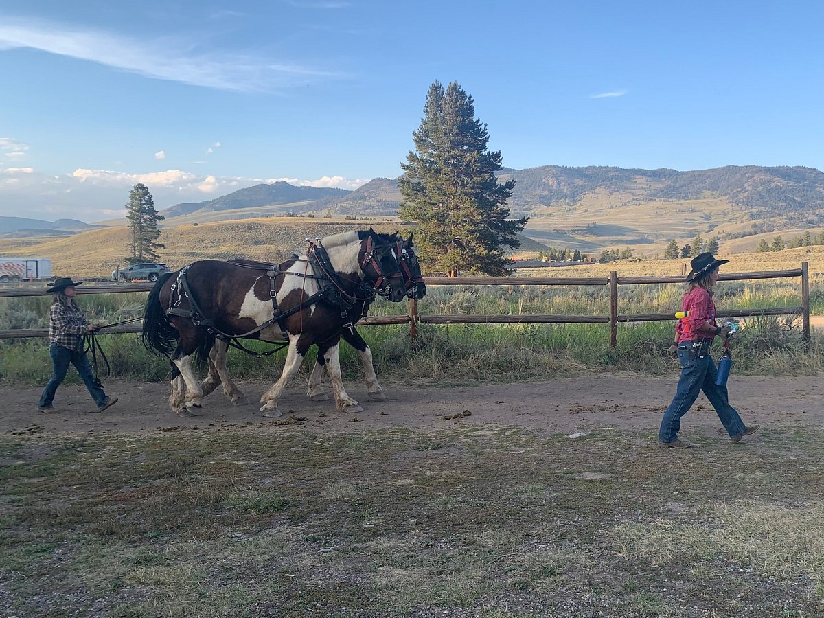 Yellowstone National Park - Xanterra Travel Collection®