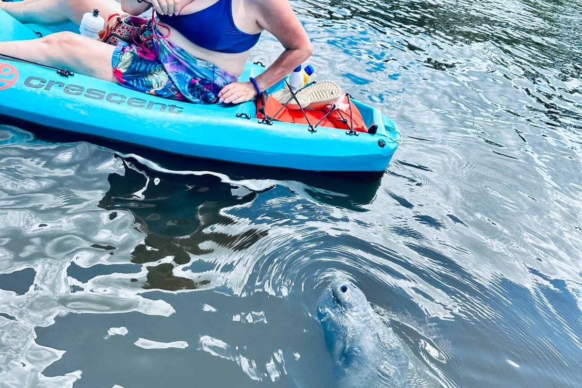 DOLPHIN AND MANATEE ADVENTURE TOUR OF COCOA BEACH - All You Need to ...