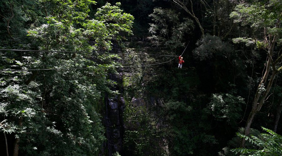 Forest Adventure - Zip-lining