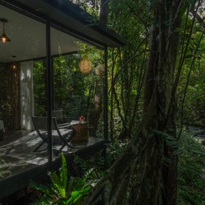 Deluxe Forest Cottage