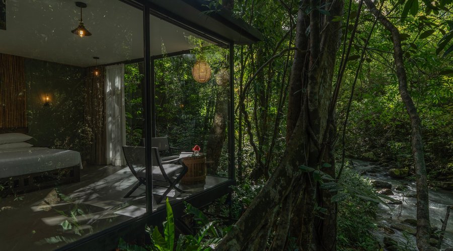Deluxe Forest Cottage