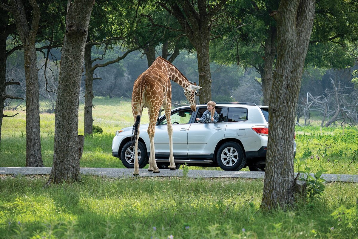 Picture of Fossil Rim Wildlife Center