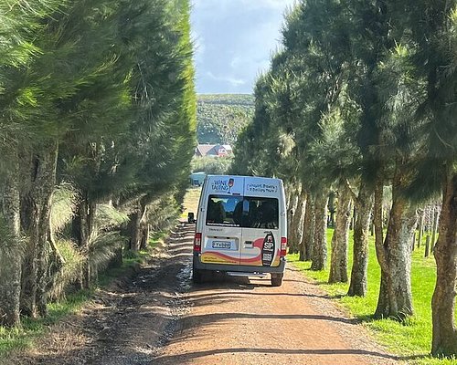 vineyard tours waiheke