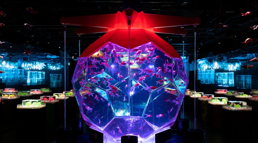 折り紙リウム Origamirium
アートアクアリウム美術館 GINZAのシンボル的な水槽作品です
This aquarium tank work is the symbol of this museum.