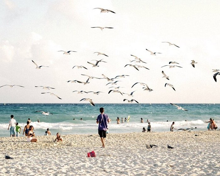 travel cancun to playa del carmen