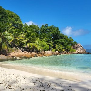 Anse Severe Beach - a 30 second walk from O'Soleil.