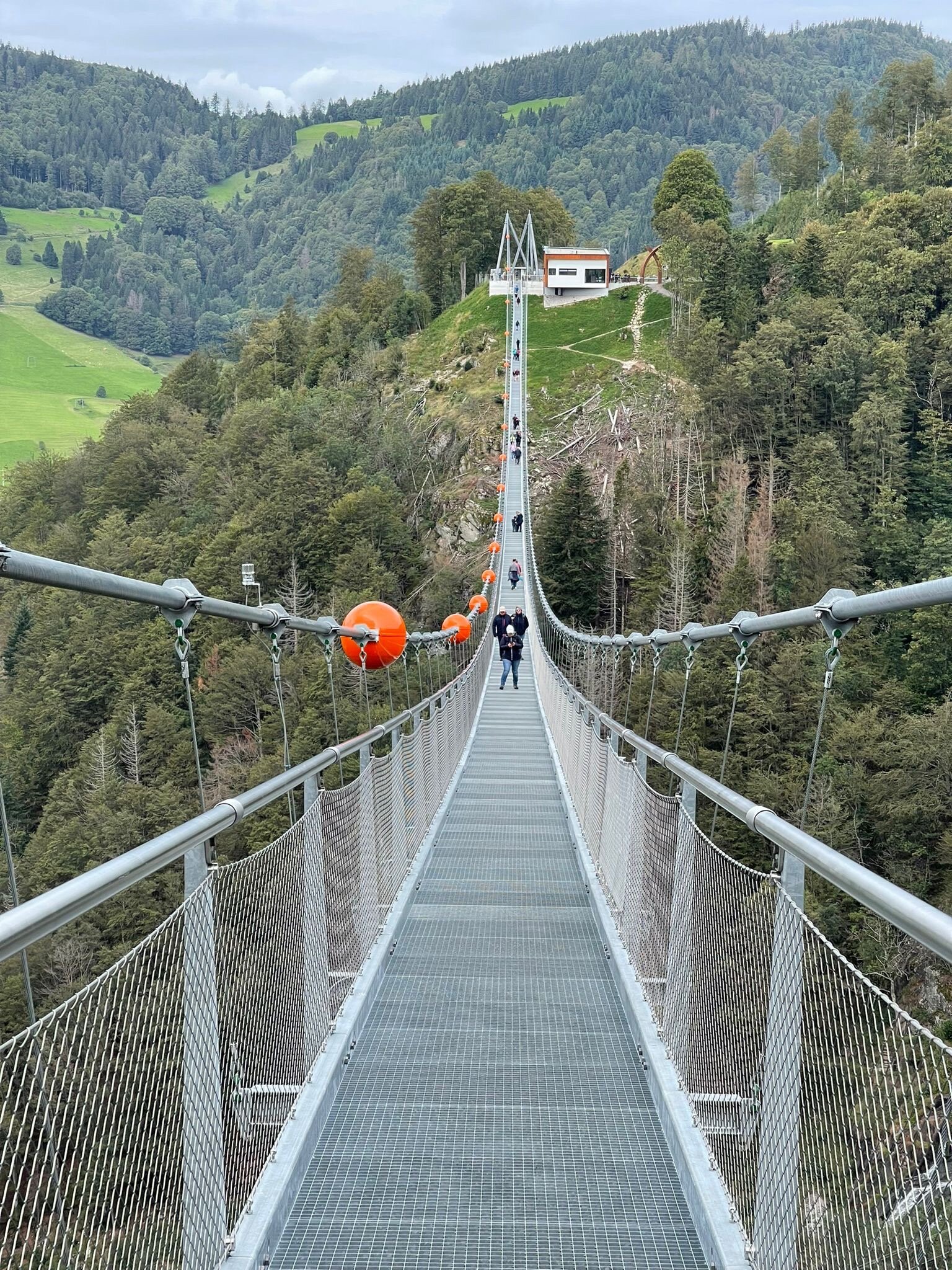 Hasenhorn Coaster Todtnau All You Need to Know BEFORE You Go 2024