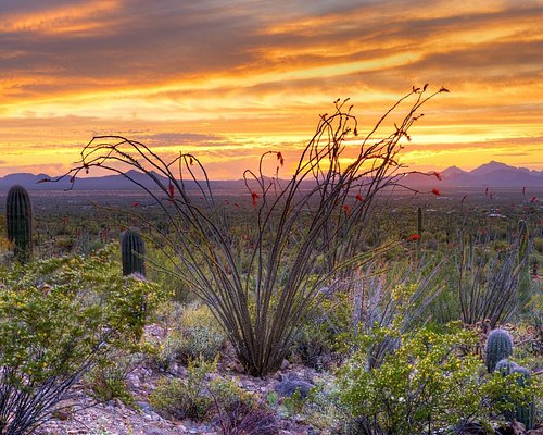 atv tours in tucson az