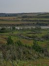 A bucket full of blue berries - Picture of The Saskatoon Berry Farm, De  Winton - Tripadvisor