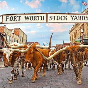 Eat  Fort Worth Stockyards