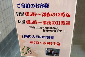 旅行者の写真