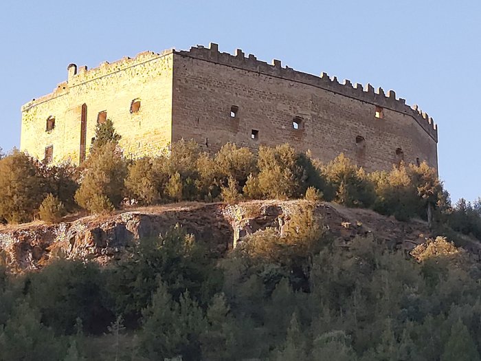 Imagen 4 de Castillo de Pedraza