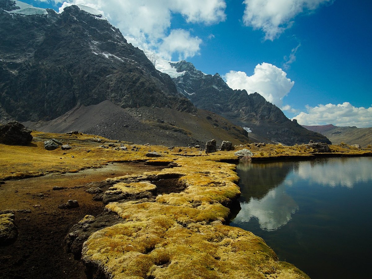 ECOLOGICAL JUNGLE TRIPS (NAUTA, PERU): 329 fotos, comparação de preços e  avaliações - Tripadvisor