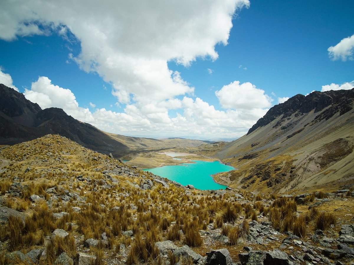 ECOLOGICAL JUNGLE TRIPS (NAUTA, PERU): 329 fotos, comparação de preços e  avaliações - Tripadvisor