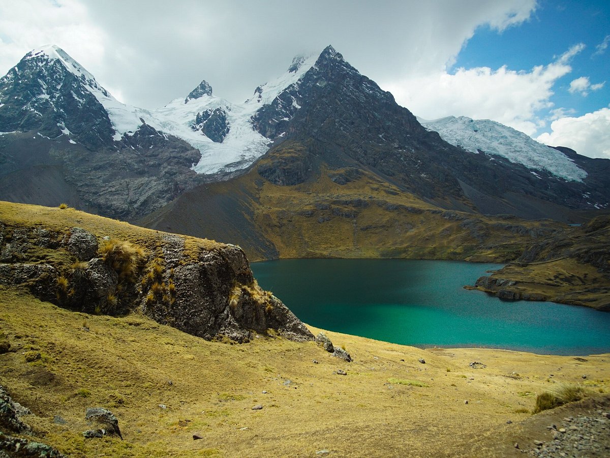 ECOLOGICAL JUNGLE TRIPS (NAUTA, PERU): 329 fotos, comparação de preços e  avaliações - Tripadvisor