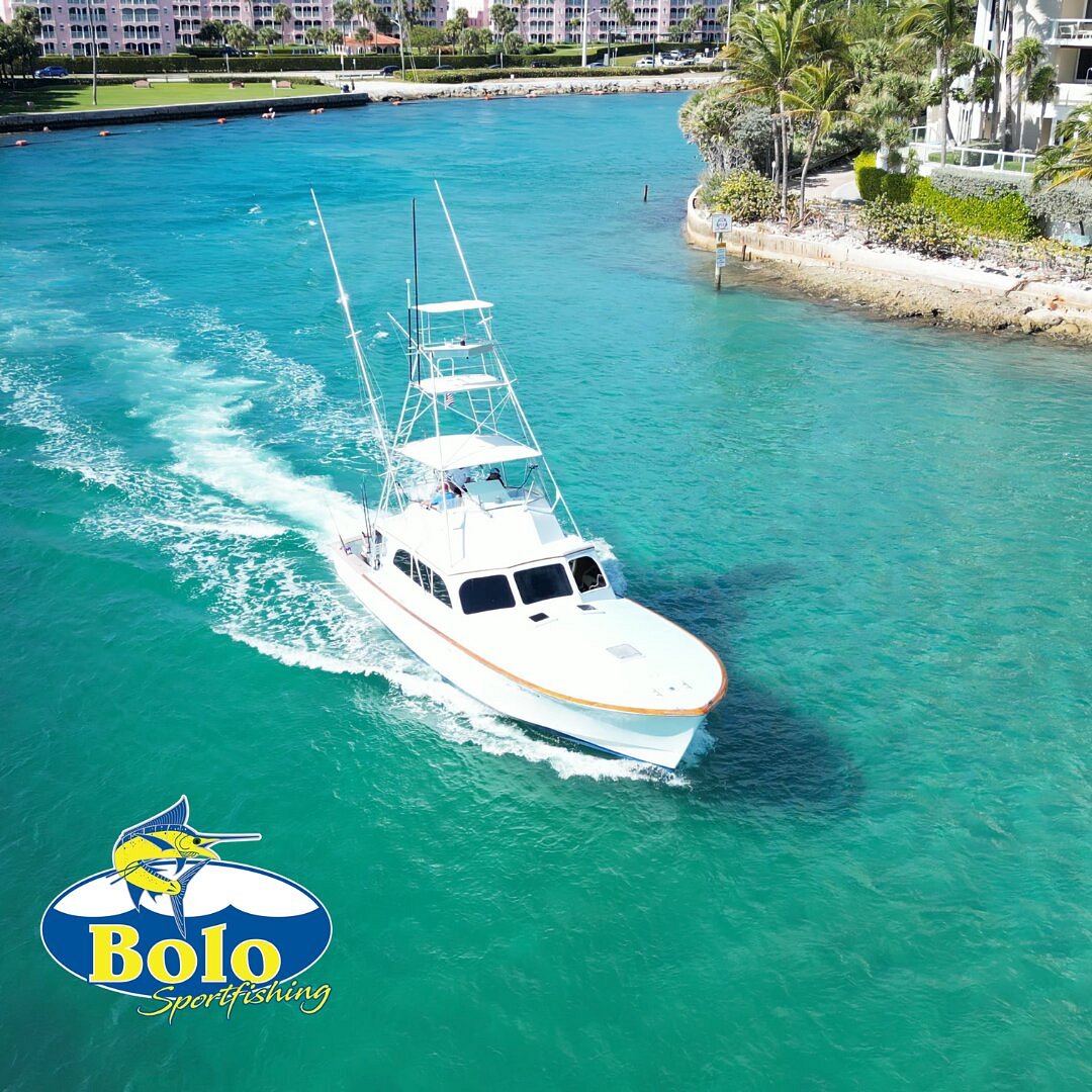 BOLO Sport Fishing Charters - All You Need to Know BEFORE You Go