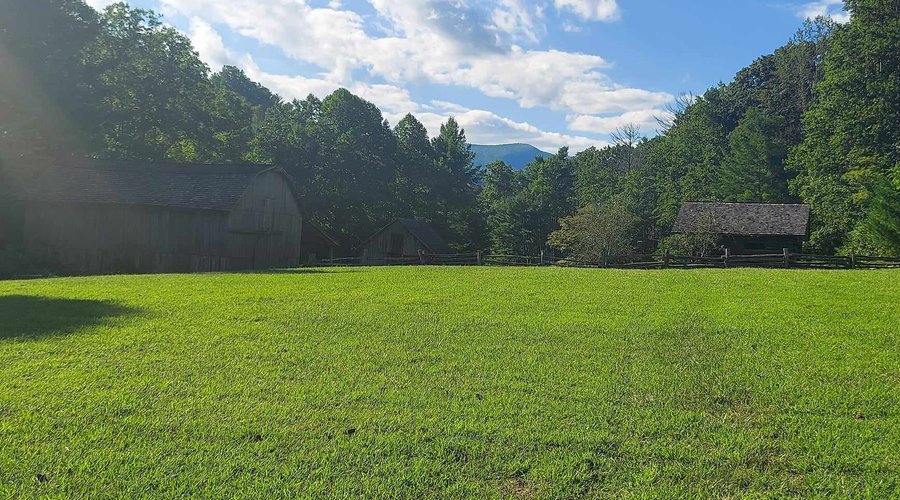 View of homestead from field