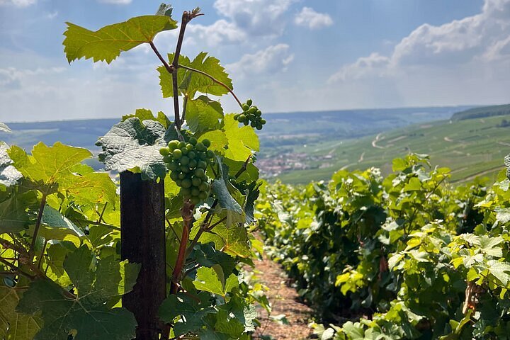 Incredible day in Château Moët Chandon in Eperney♥️ @moetchandon