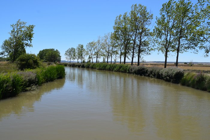 Imagen 9 de Canal de Castilla