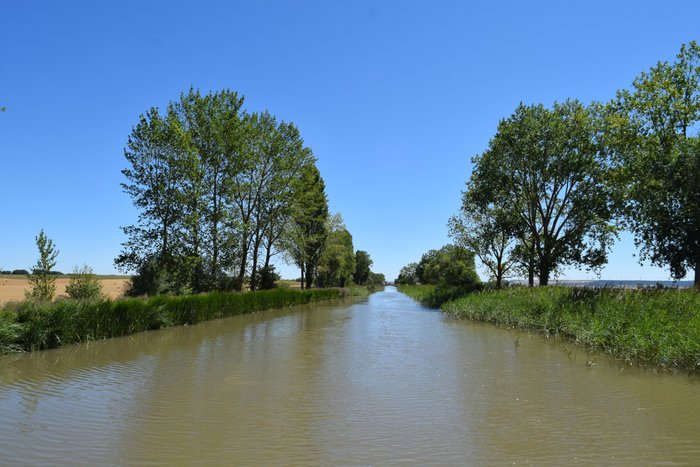 Imagen 6 de Canal de Castilla