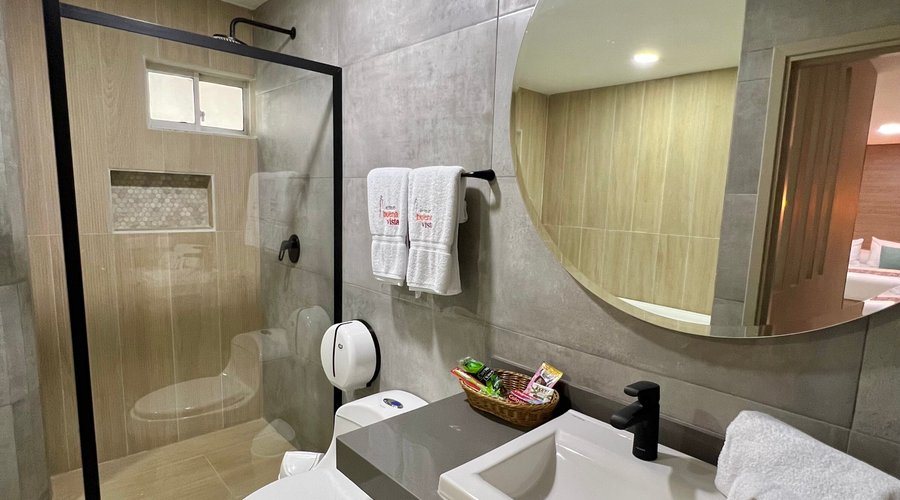 Jacuzzi y Baño Habitacion SUite. 