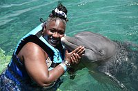 $95 for a Shallow-Water Dolphin Encounter at Dolphin Cove ($155 Value)