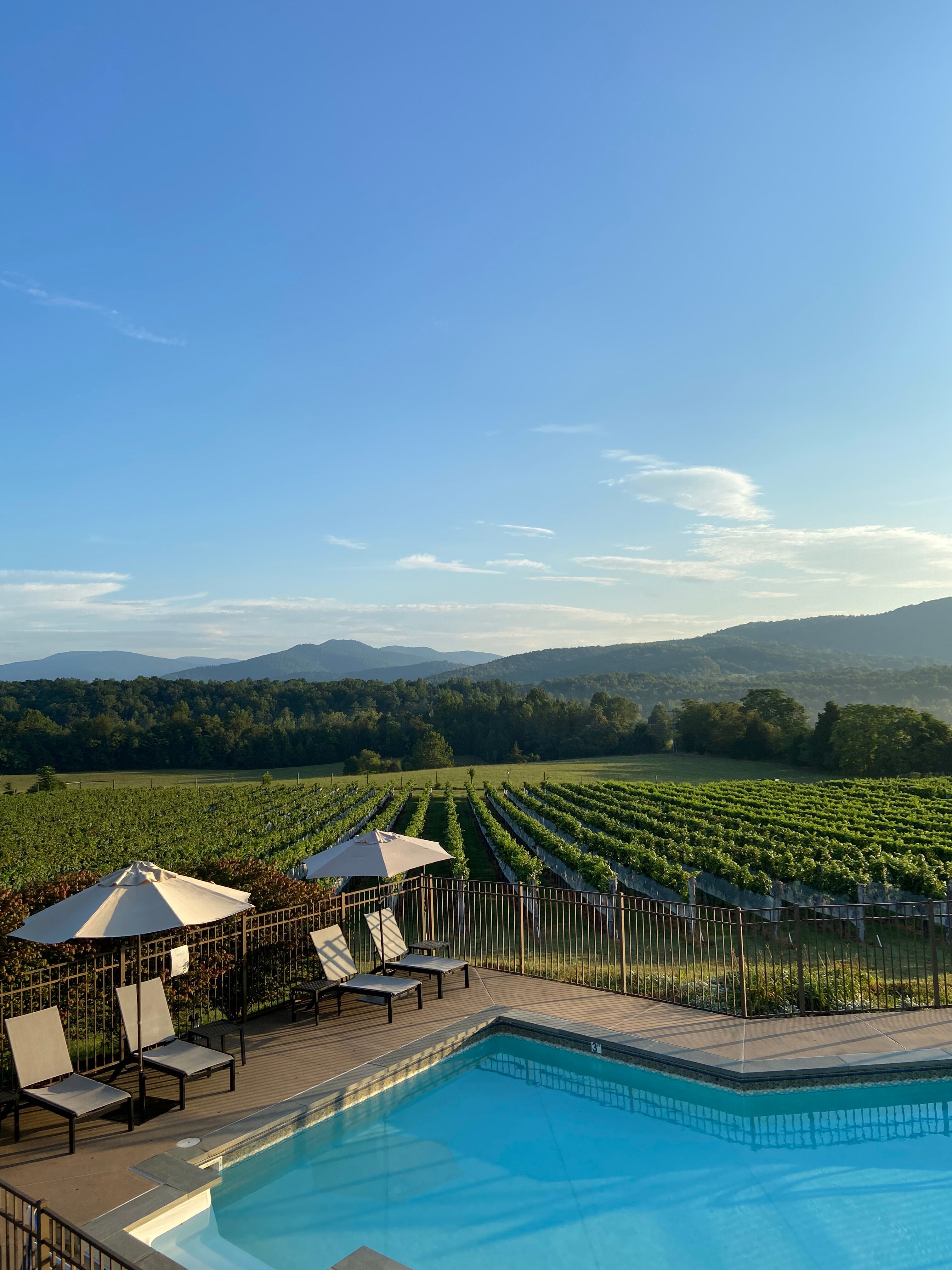 THE INN AT STINSON VINEYARDS - Updated 2023 Prices & Reviews (Crozet, VA)