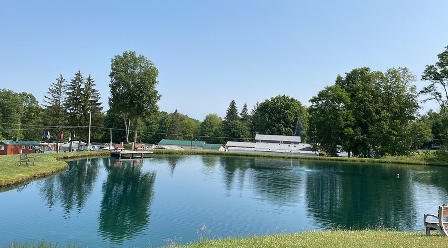 A portion of our catch and release fishing pond.