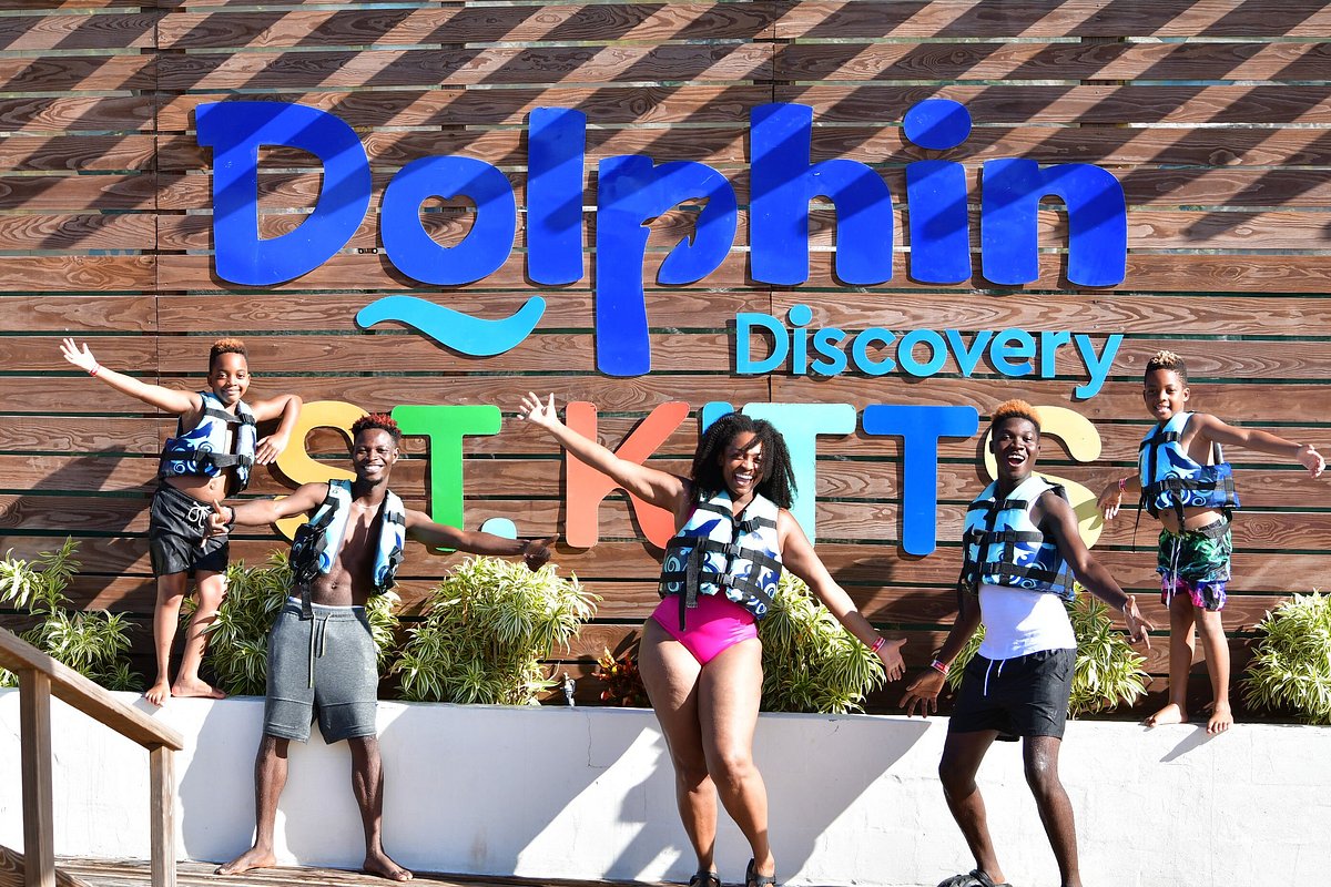 Dolphin Discovery St. Kitts - All You Need to Know BEFORE You Go (2024)