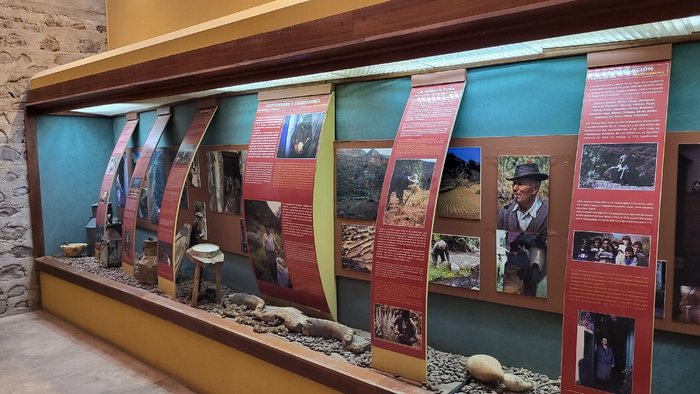 Imagen 5 de Museo de Guayadeque