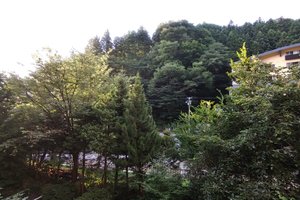 客室 & スイート