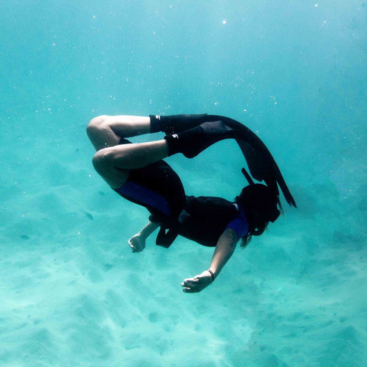 APNOSPHERE FREEDIVING ZANZIBAR (Stone Town) Ce qu'il faut savoir pour