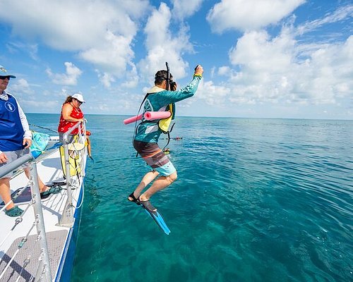 THE 10 BEST Florida Keys Scuba Diving & Snorkeling (Updated 2024)