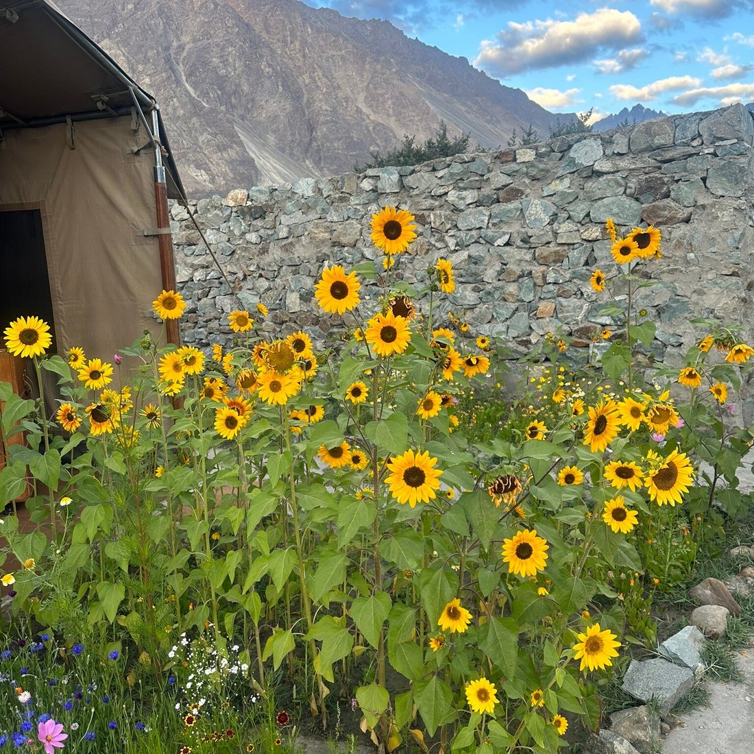 CHAMBA CAMP DISKIT - Prices & Campground Reviews (India)