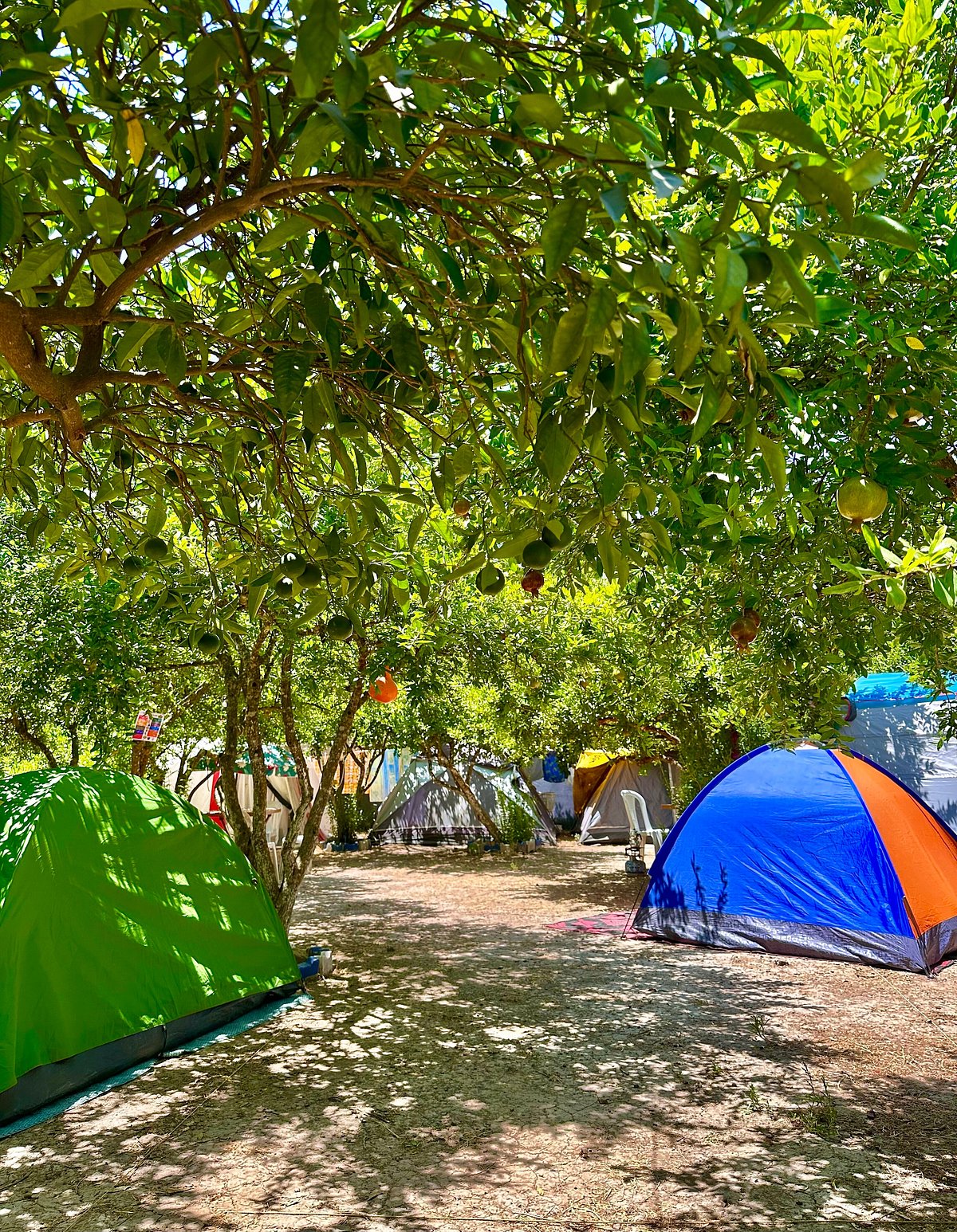 PAPAYA CAMPING (Antalya) - Campground Reviews & Photos - Tripadvisor