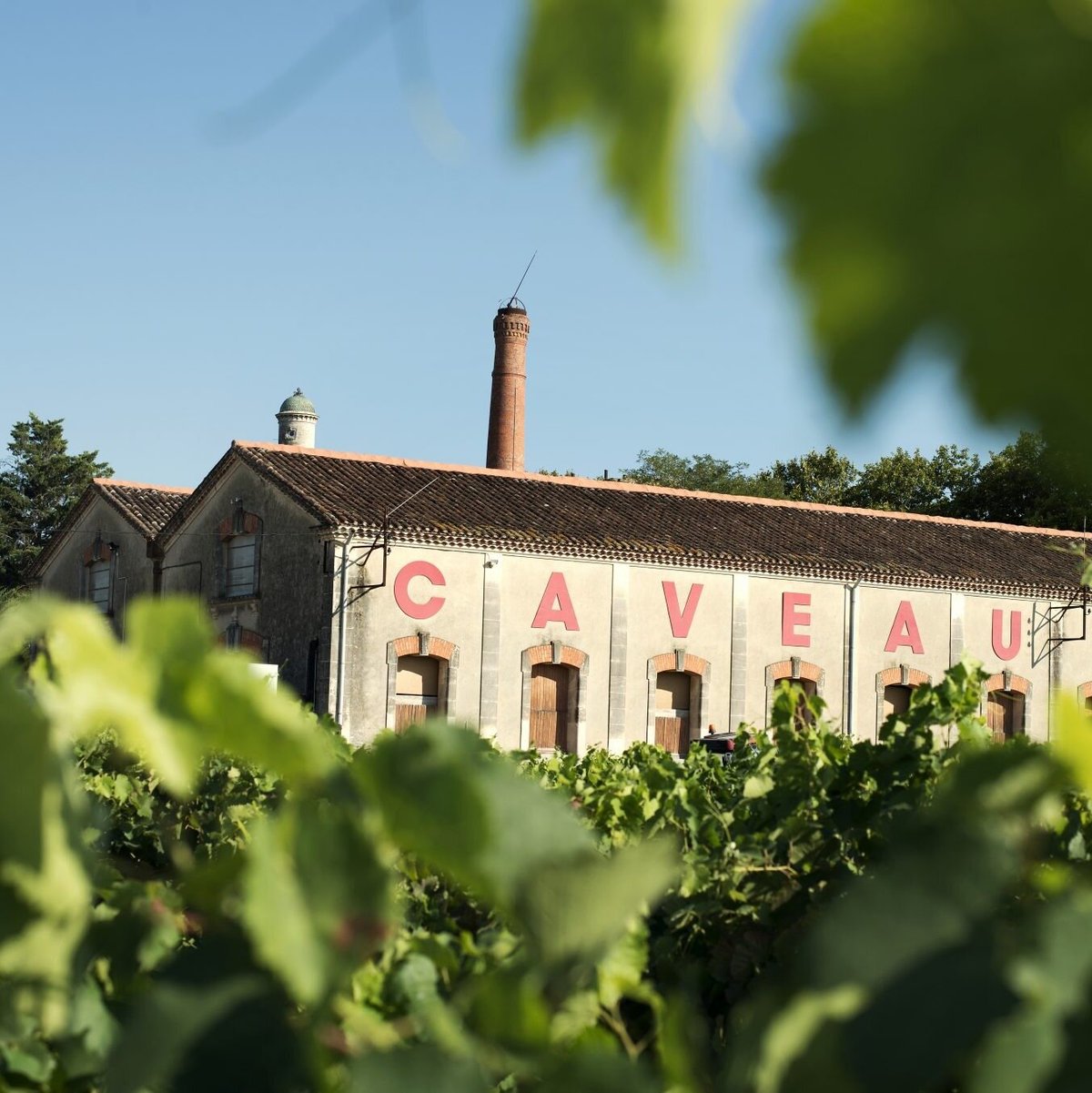 Domaine de Montcalm Lohnt es sich? Aktuell für 2024 (Mit fotos)