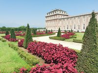 From Turin: La Venaria Reale Private Tour with Entry Ticket