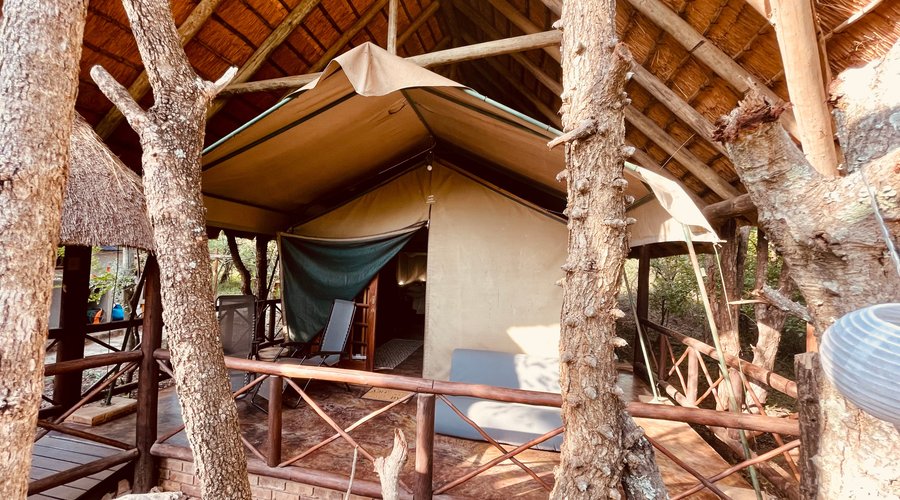 Luxury Safari Family Tent Eland 