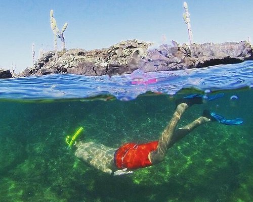 eco tourism in galapagos