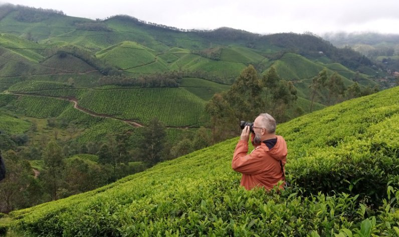 THE 15 BEST Things To Do In Munnar (2024) - Must-See Attractions