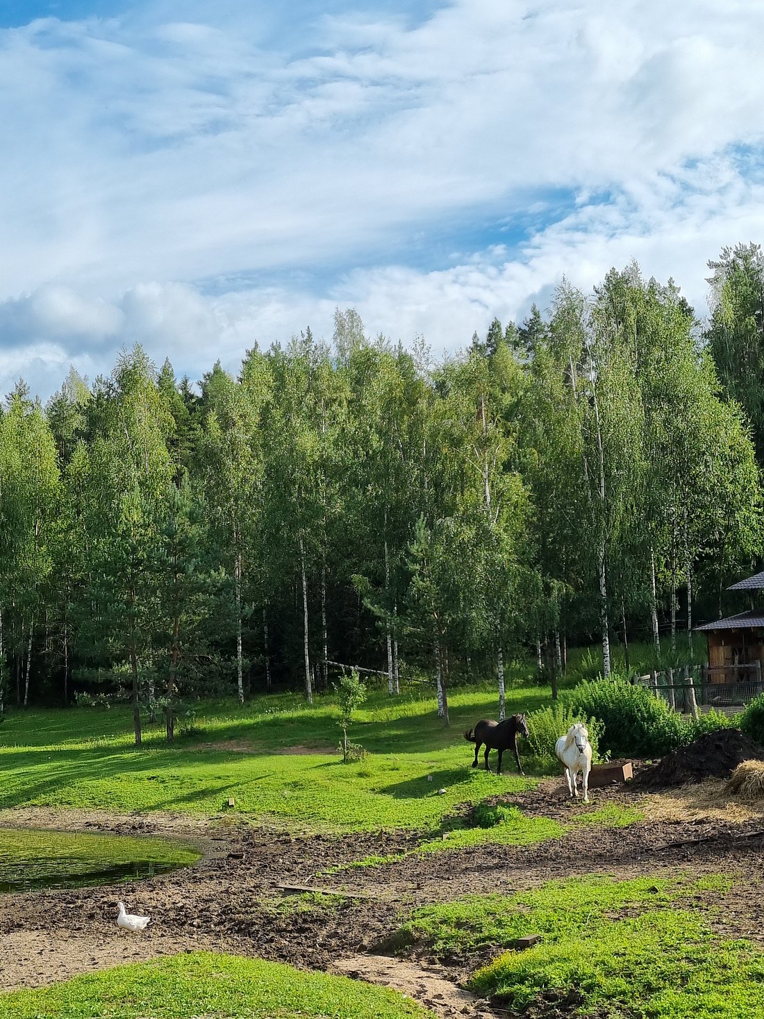 ВАЛДАЙ ЭКО КЛУБ (Короцко) - отзывы и фото - Tripadvisor