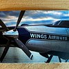 The Wings Airways Team